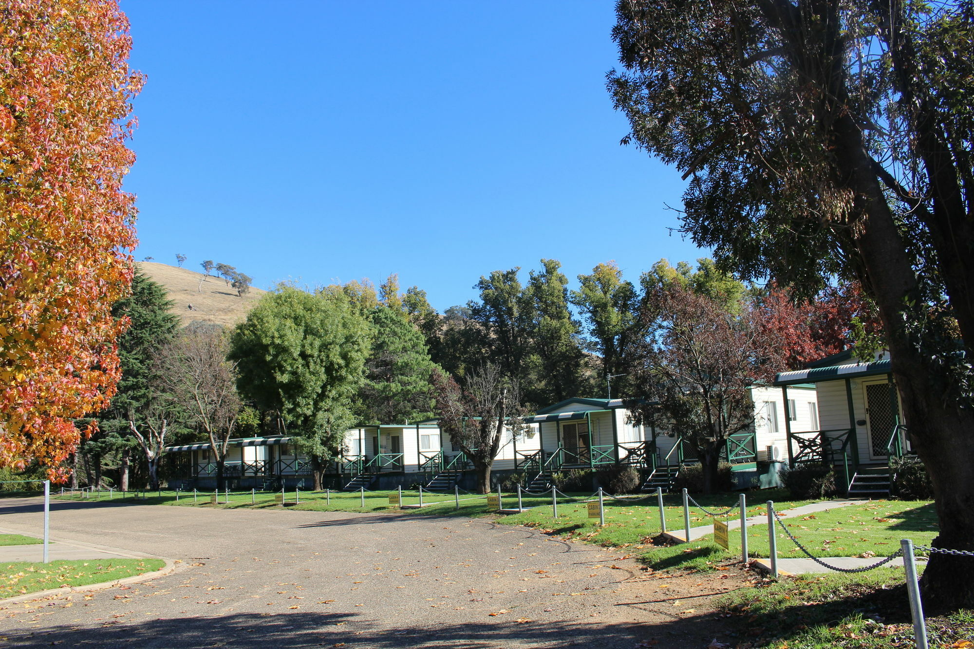 Gundagai Cabins & Tourist Park Exterior photo